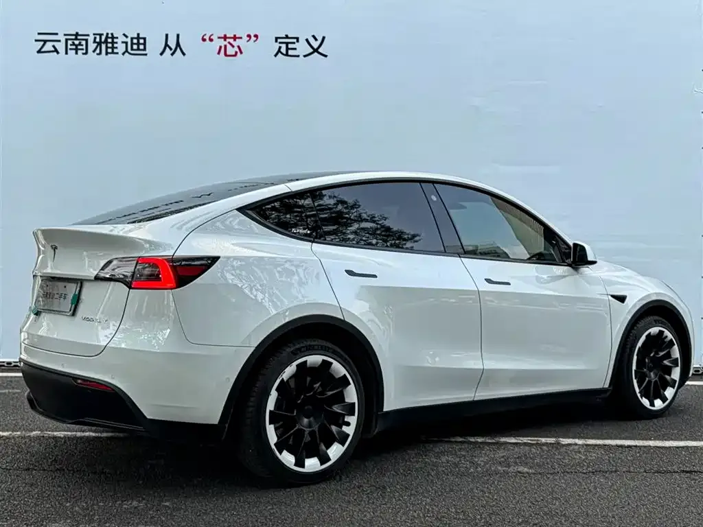 Tesla Model Y — фото 3
