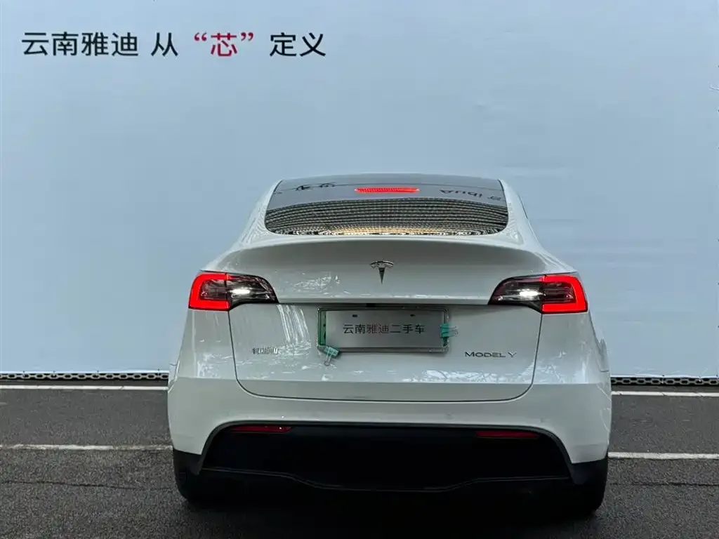 Tesla Model Y — фото 2