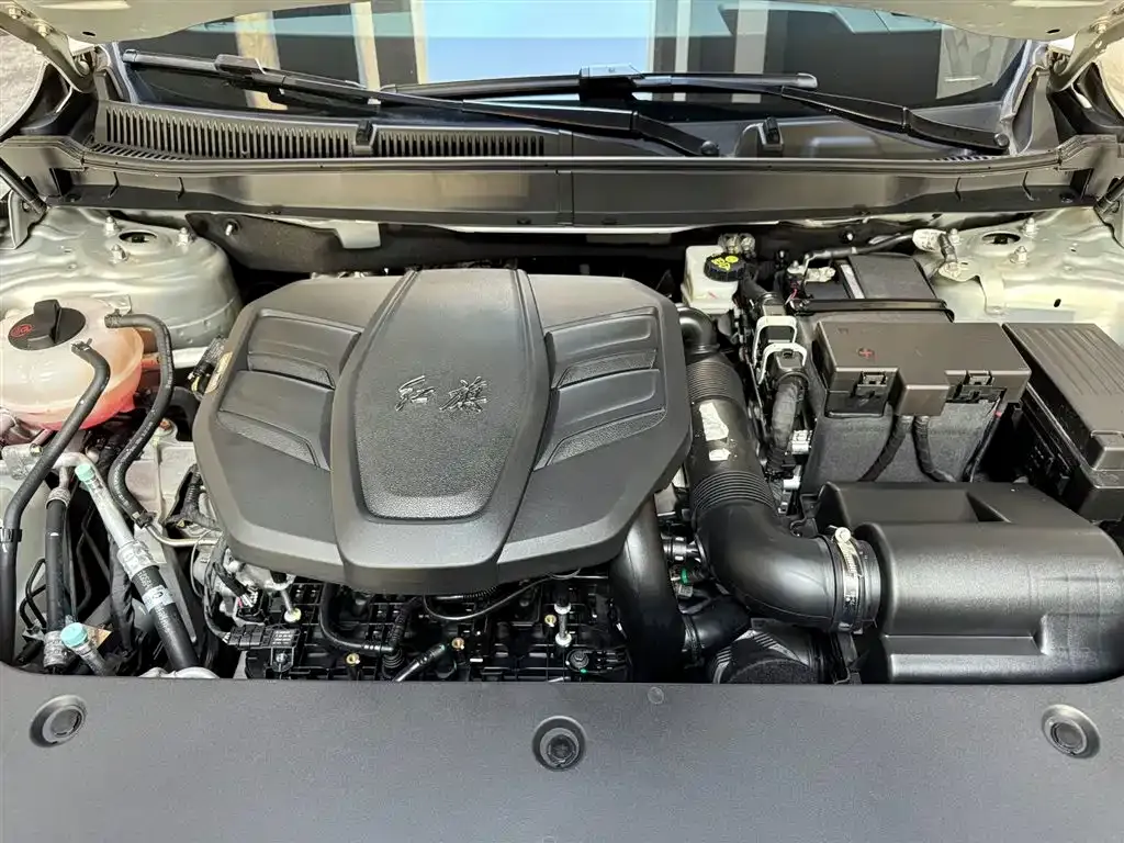 Hongqi HS5 2023 из CN, фото 9