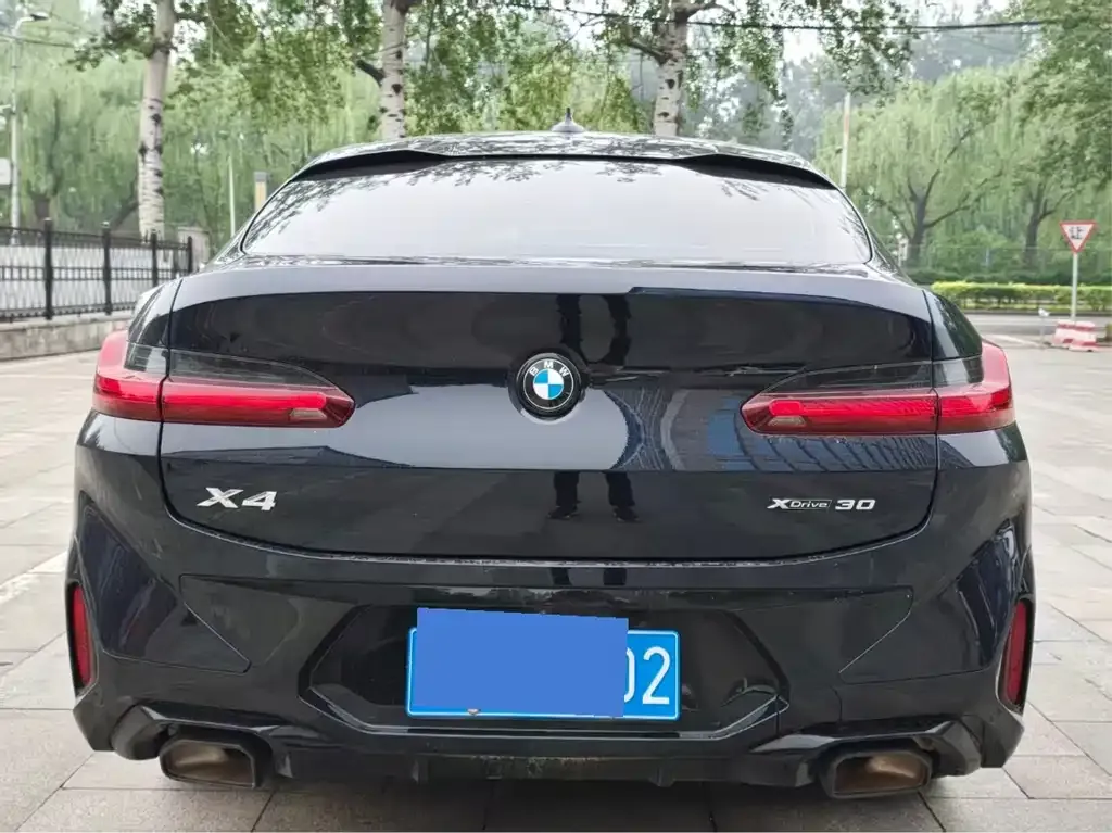 BMW X4 2022 из CN, фото 10