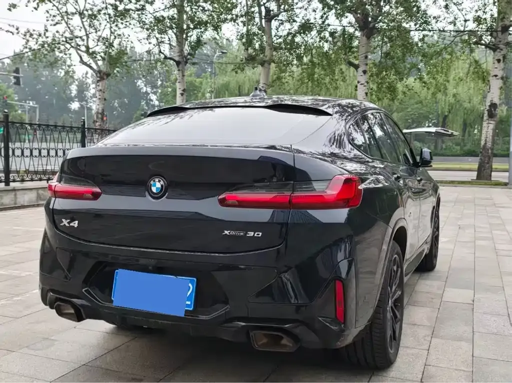 BMW X4 2022 из CN, фото 8
