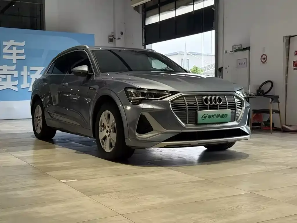 Audi e-tron 2023 из CN, фото 9