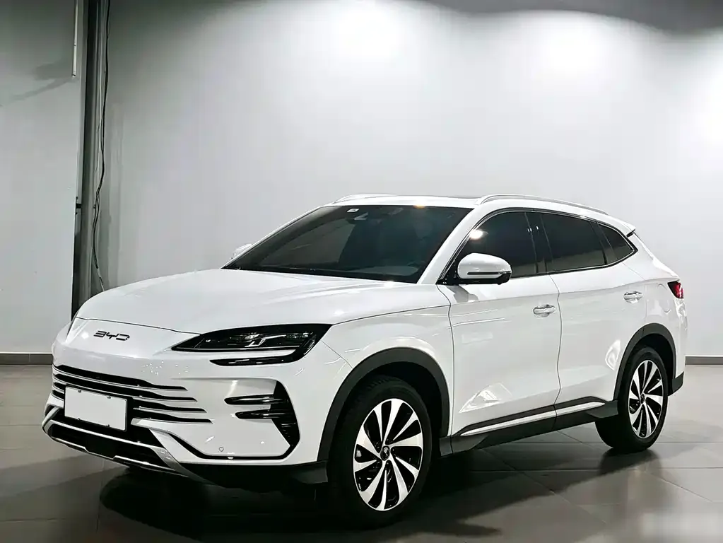 BYD PLUS New Energy — фото 1