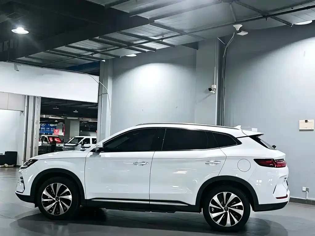 BYD PLUS New Energy — фото 9