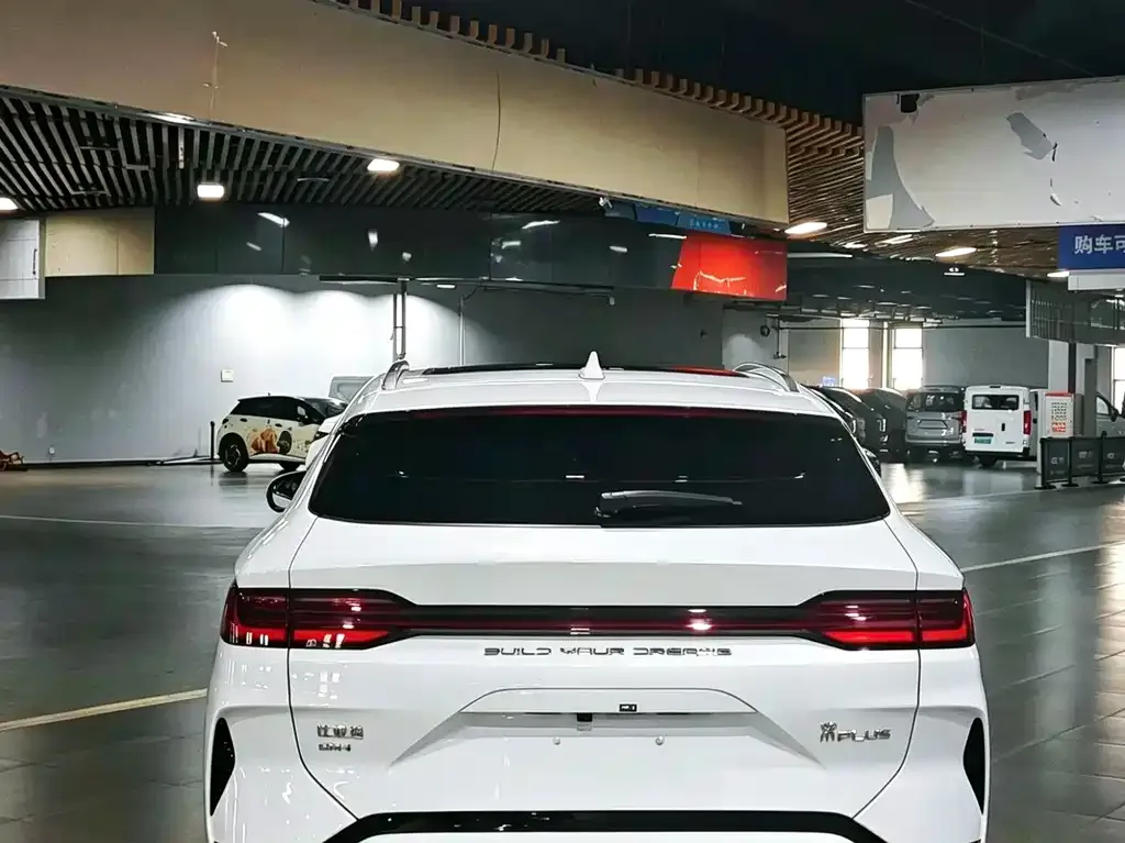 BYD PLUS New Energy — фото 6