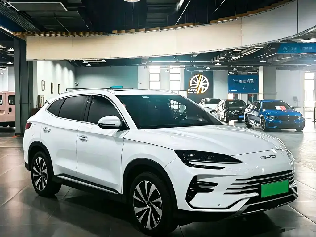 BYD PLUS New Energy — фото 5