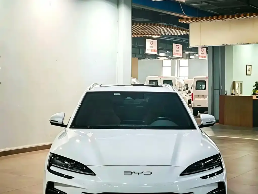 BYD PLUS New Energy — фото 4