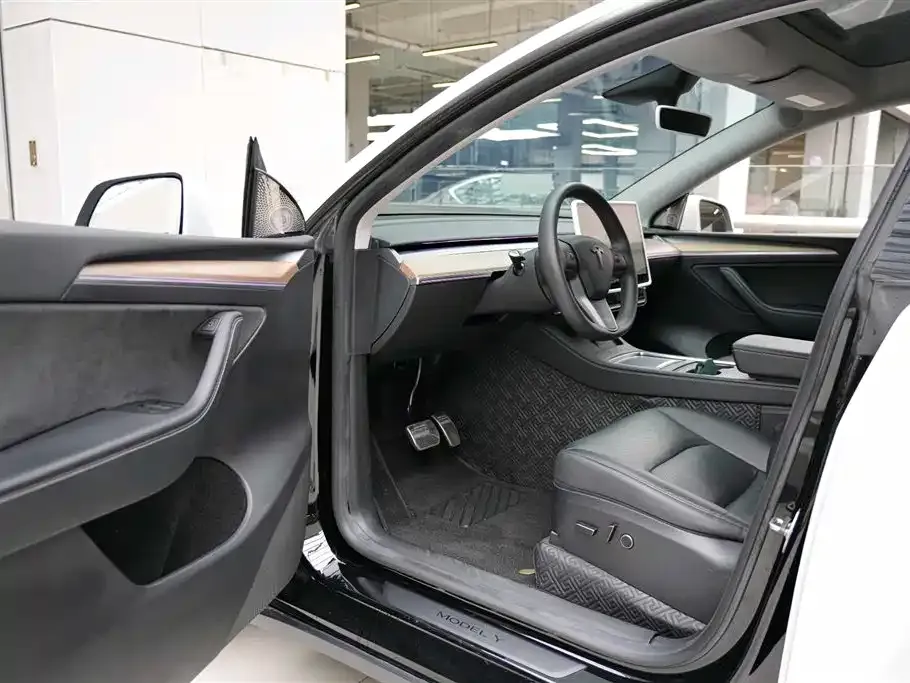 Tesla Model Y 2023 из CN, фото 4