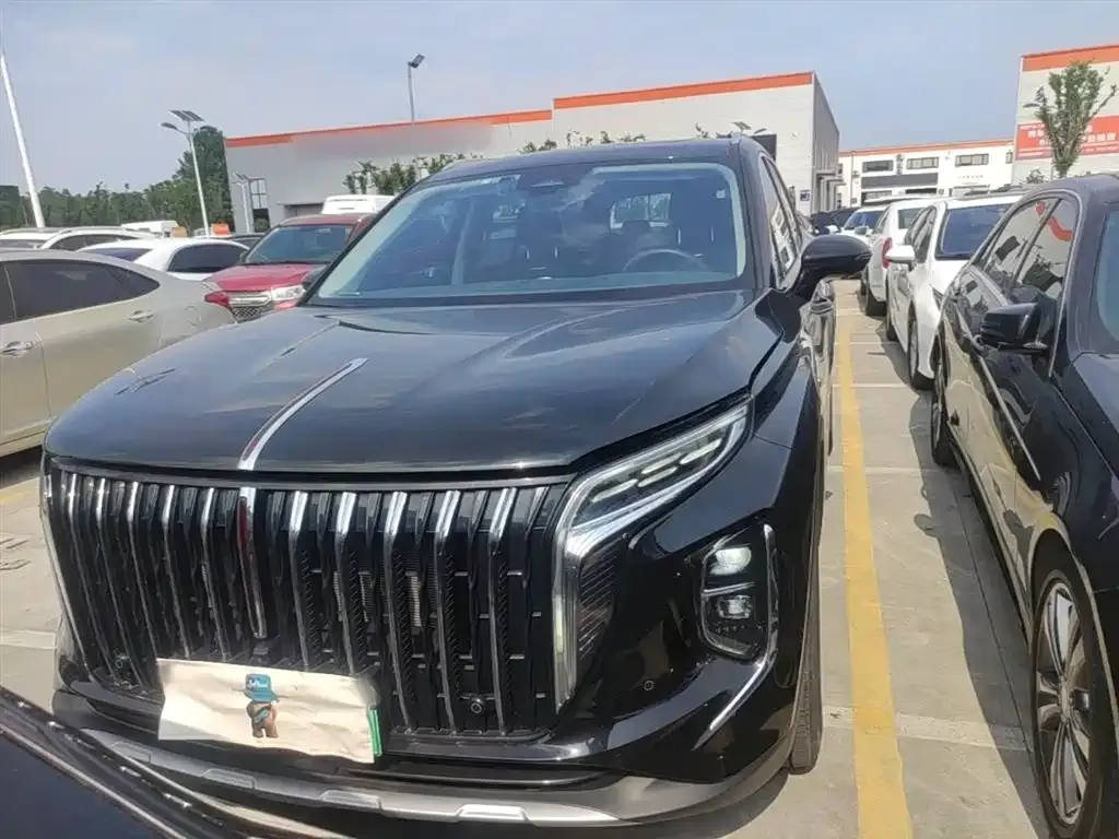 Hongqi HS7 PHEV 2024 из CN, фото 9