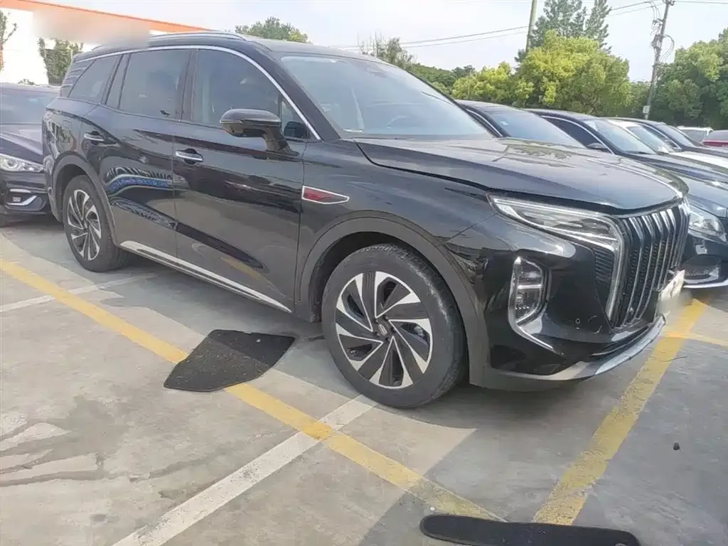 Hongqi HS7 PHEV 2024 из CN, фото 8