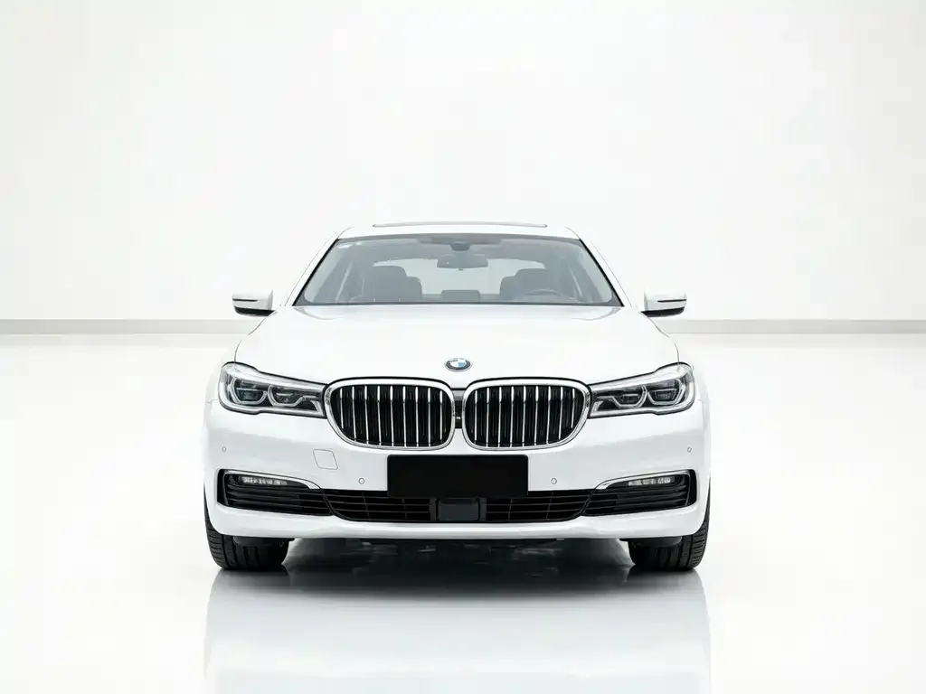 BMW 5 Series New Energy 2021 из CN, фото 4