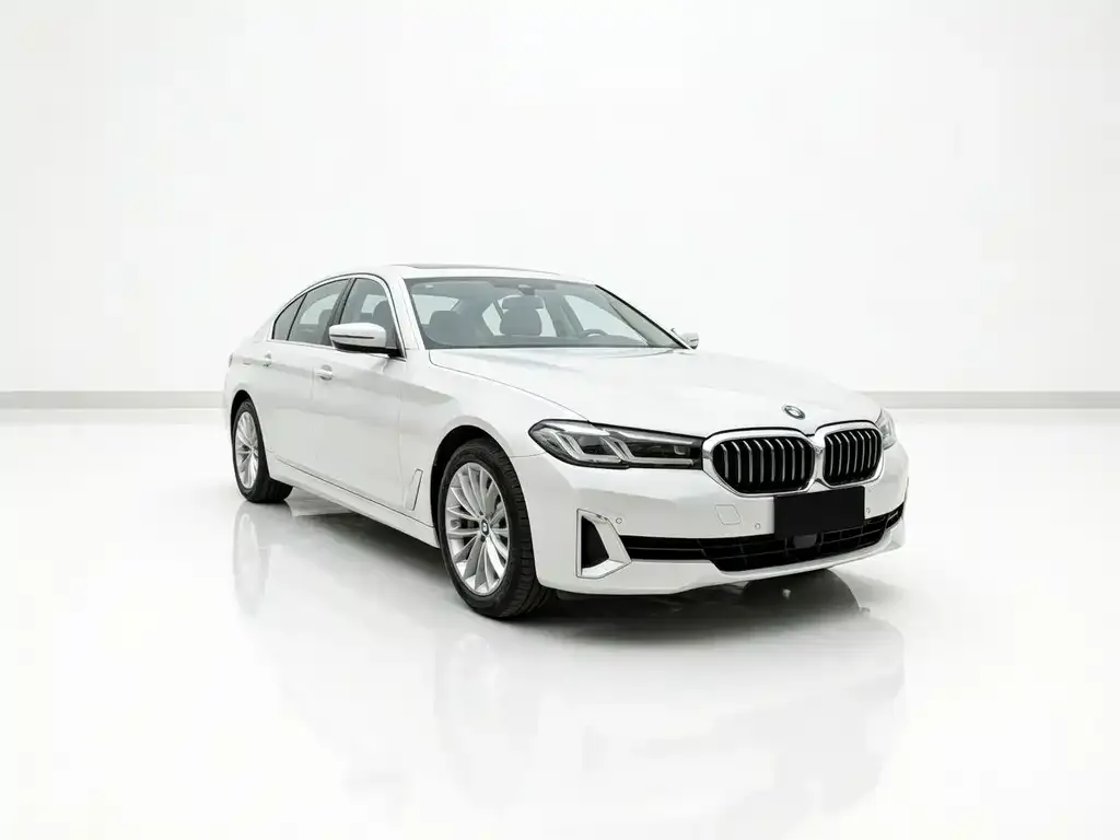 BMW 5 Series New Energy 2021 из CN, фото 2