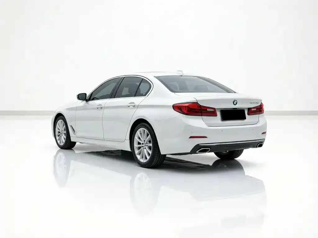 BMW 5 Series New Energy 2021 из CN, фото 3