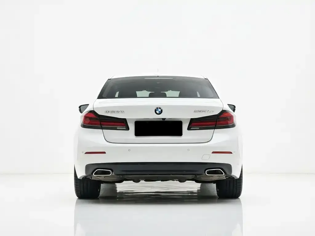 BMW 5 Series New Energy 2021 из CN, фото 6
