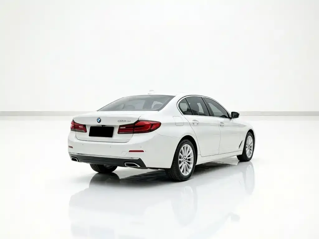 BMW 5 Series New Energy 2021 из CN, фото 5