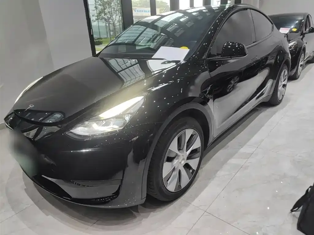 Tesla Model Y — фото 2