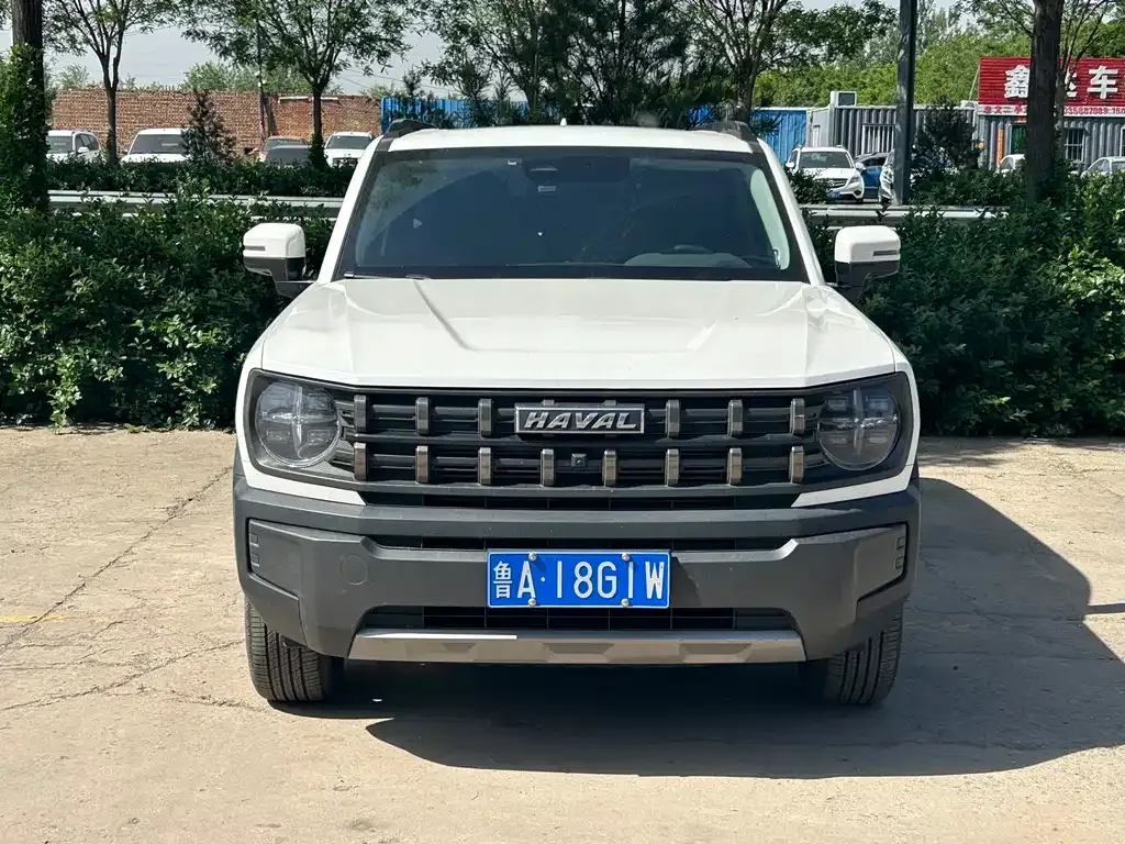 Haval Cool Dog 2023 из CN, фото 6