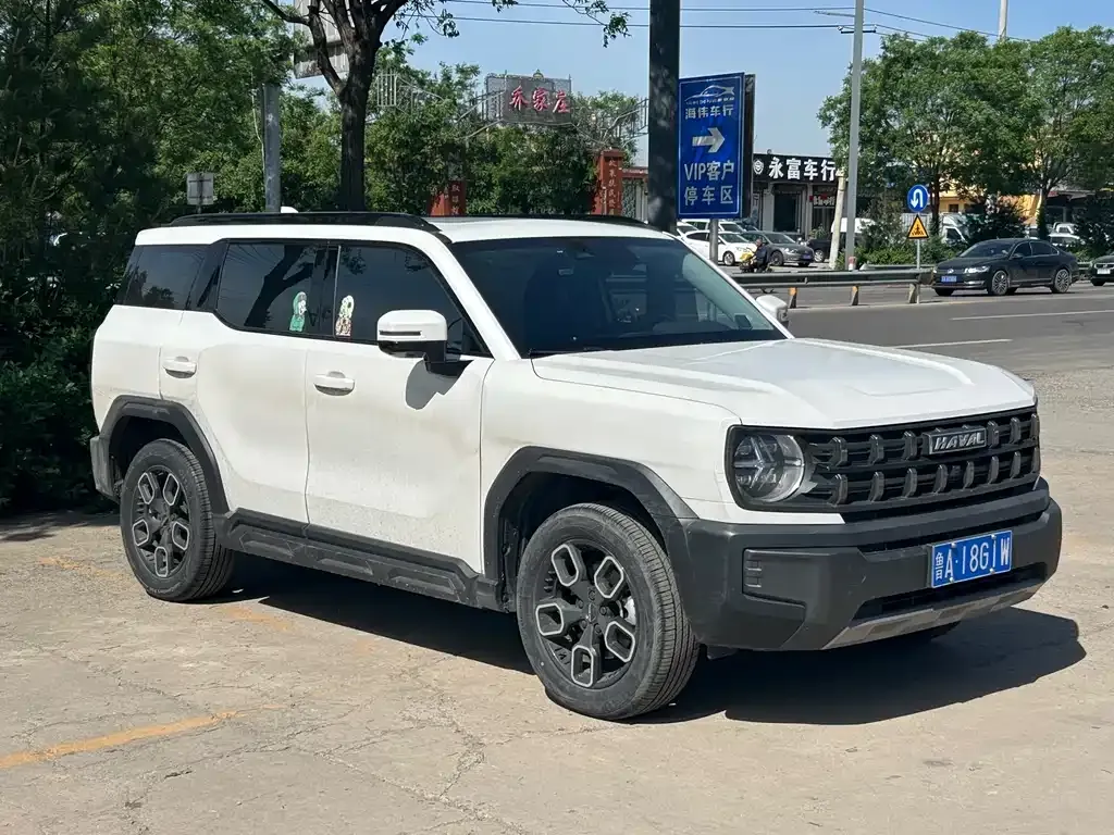 Haval Cool Dog 2023 из CN, фото 3