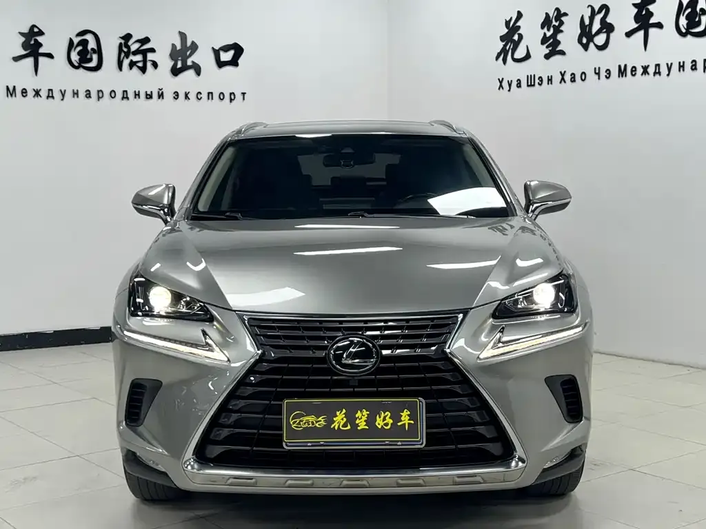Lexus NX 2021 из CN, фото 9