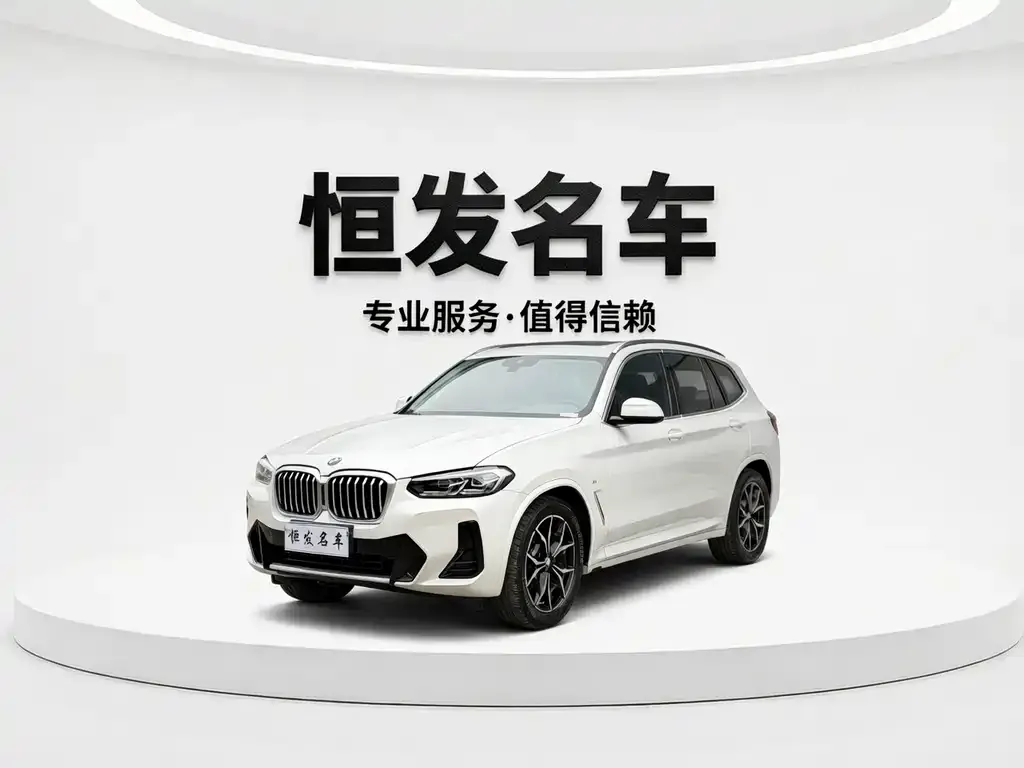 BMW X3 — фото 1