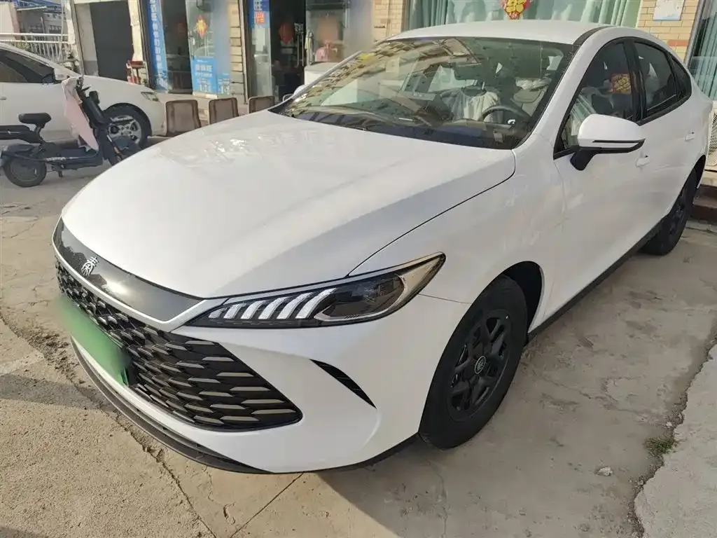 BYD Qin PLUS — фото 1