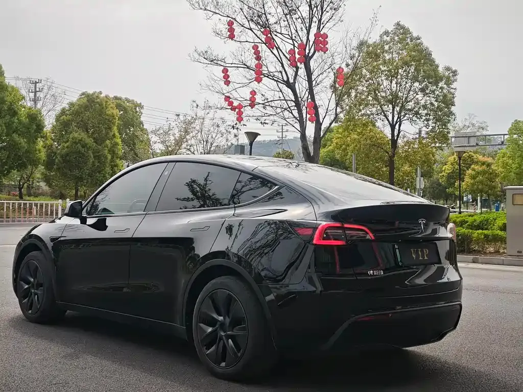 Tesla Model Y — фото 4