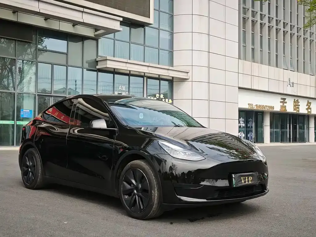 Tesla Model Y — фото 6
