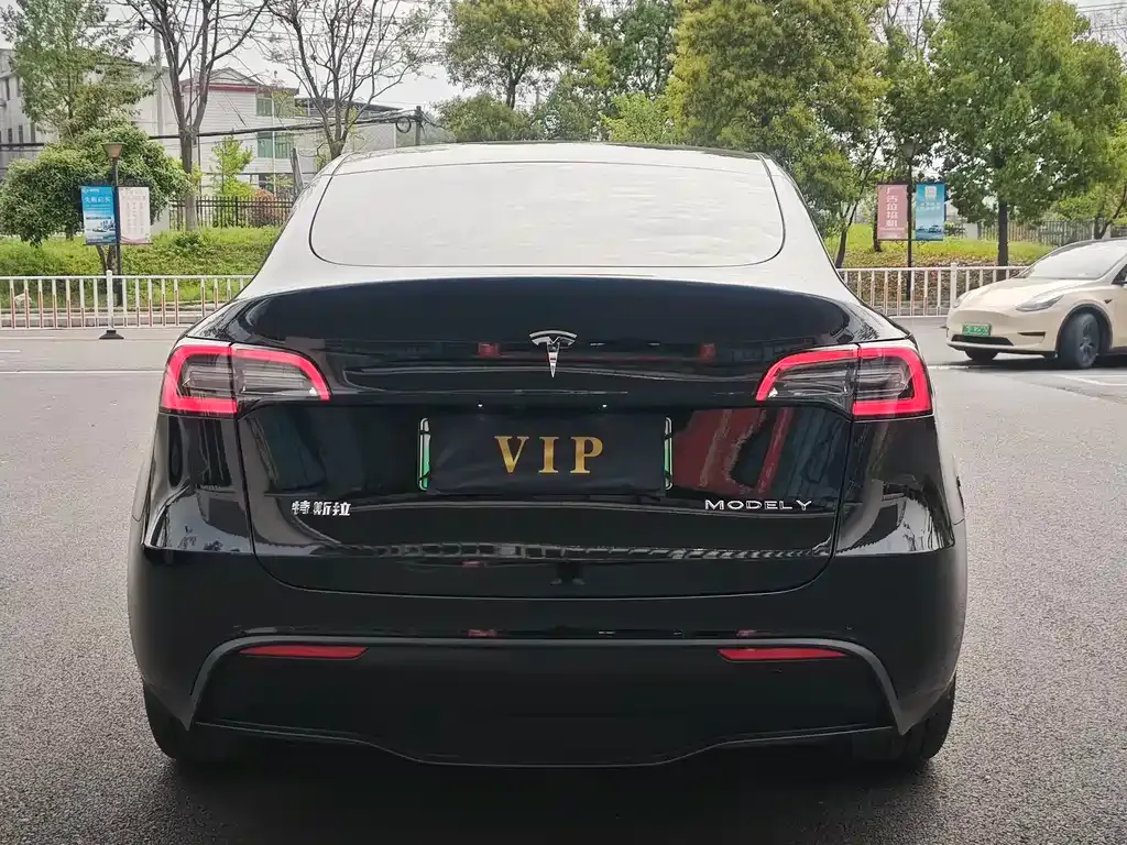 Tesla Model Y — фото 8