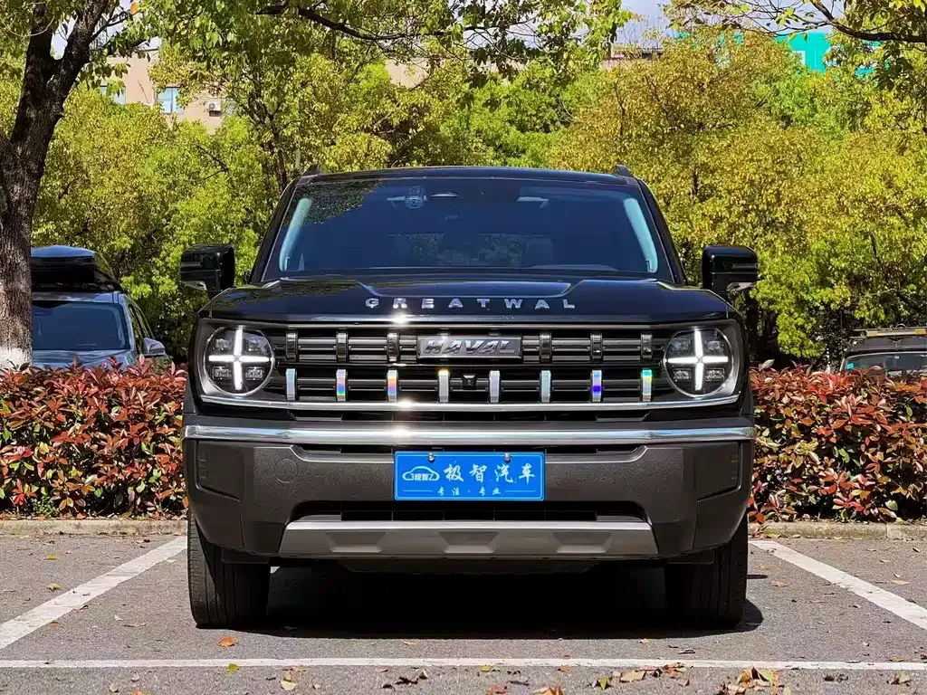 Haval Cool Dog 2023 из CN, фото 9