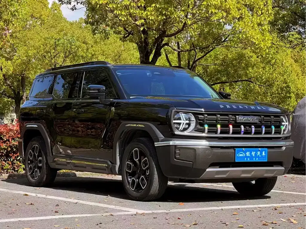 Haval Cool Dog 2023 из CN, фото 7