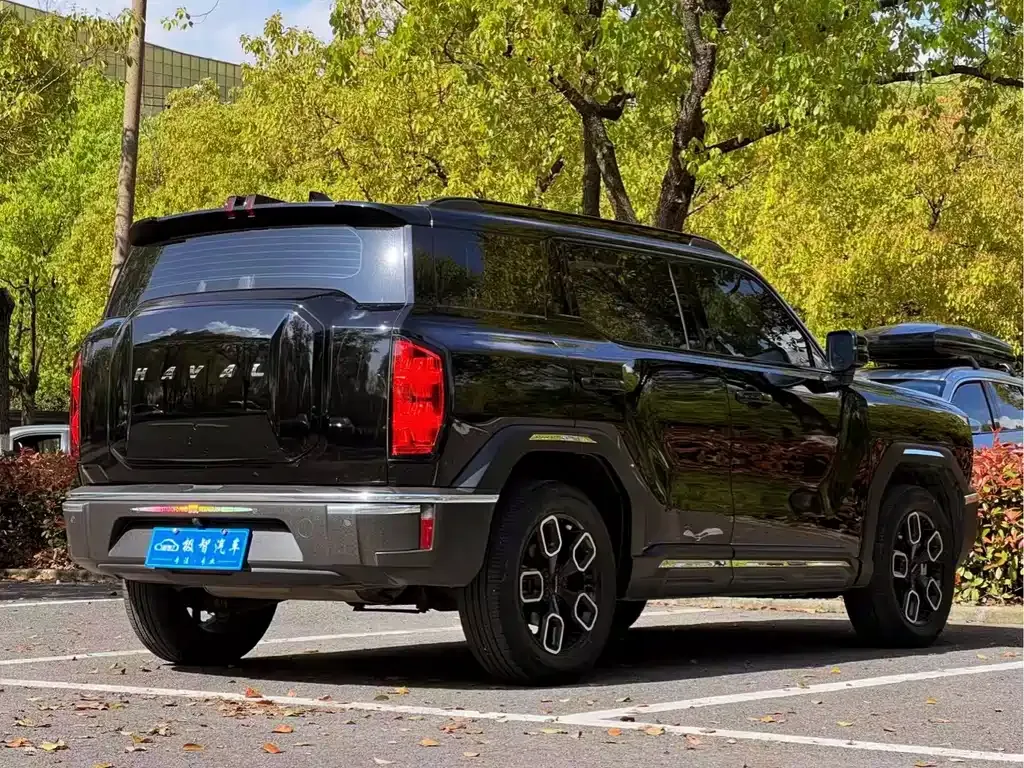 Haval Cool Dog 2023 из CN, фото 10