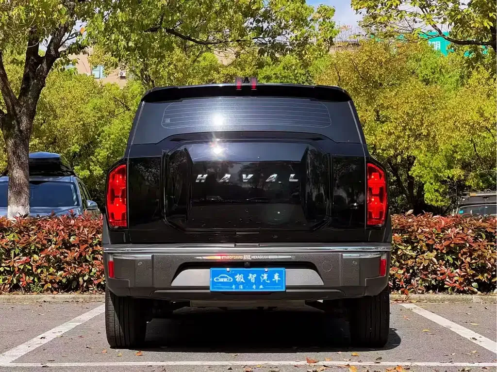 Haval Cool Dog 2023 из CN, фото 5