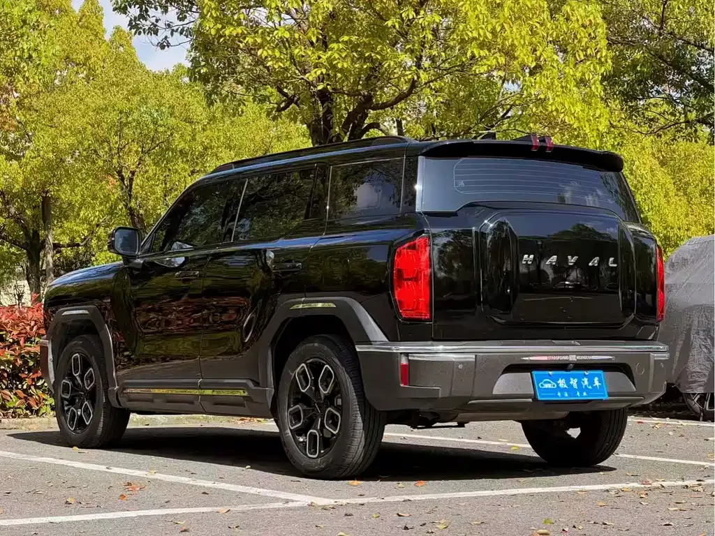 Haval Cool Dog 2023 из CN, фото 2