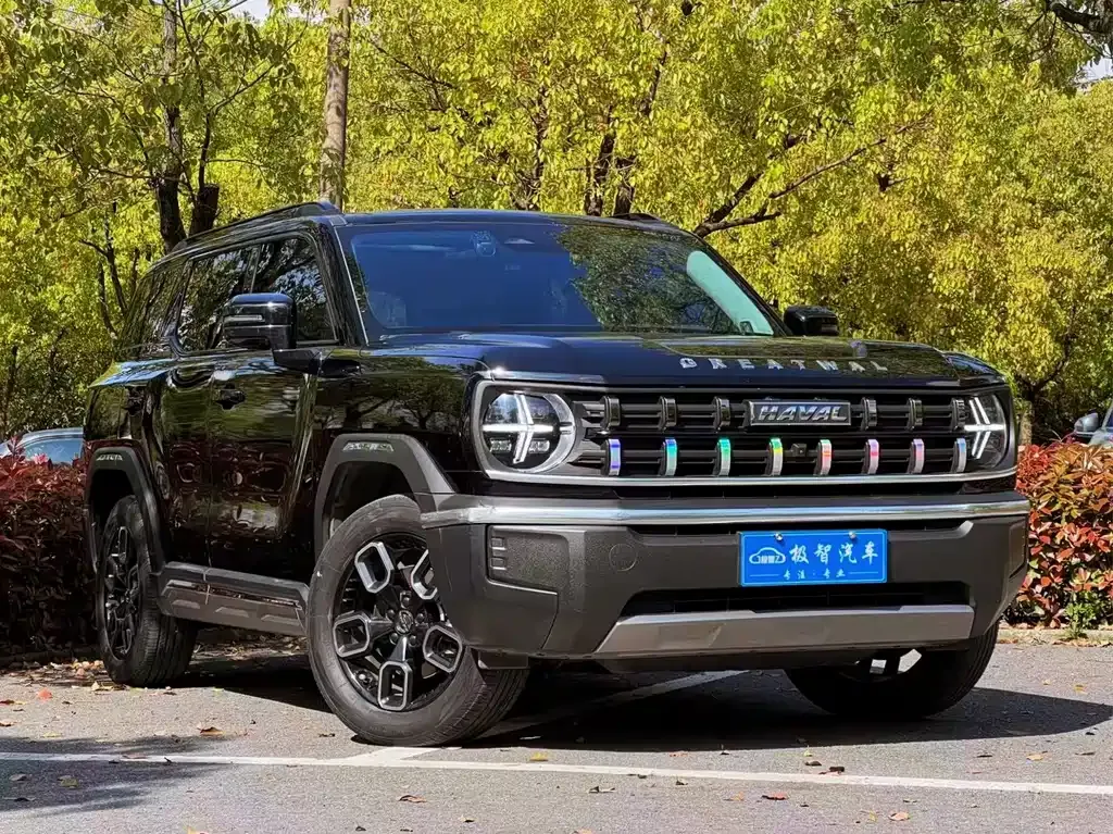 Haval Cool Dog 2023 из CN, фото 8