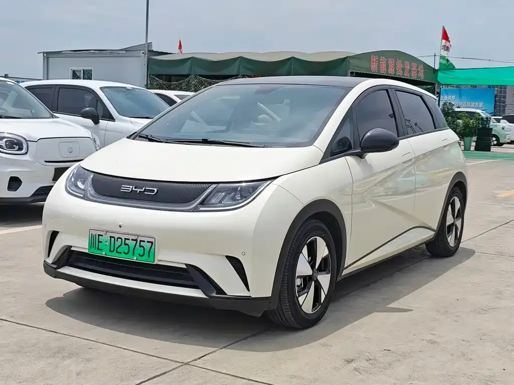 BYD Dolphin 2023 из CN, фото 1