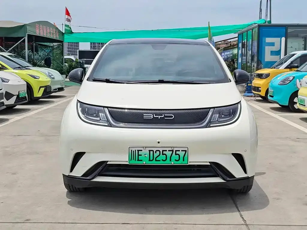 BYD Dolphin 2023 из CN, фото 4