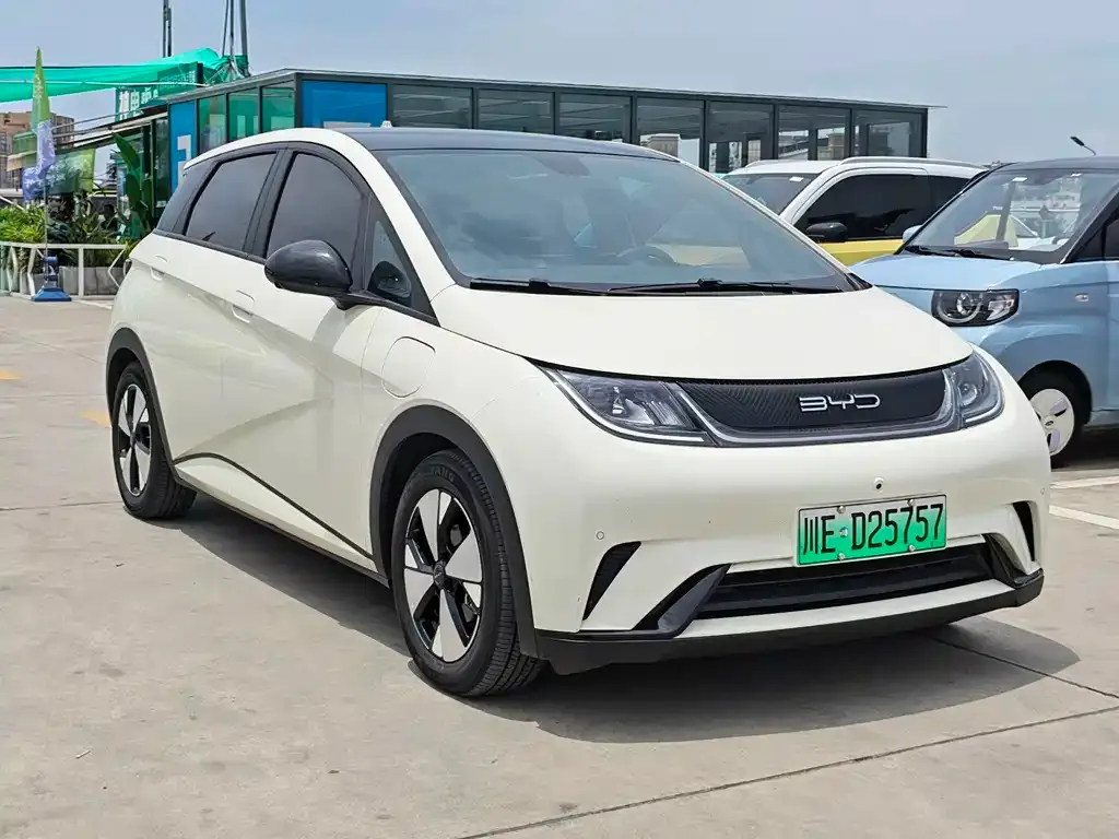 BYD Dolphin 2023 из CN, фото 7