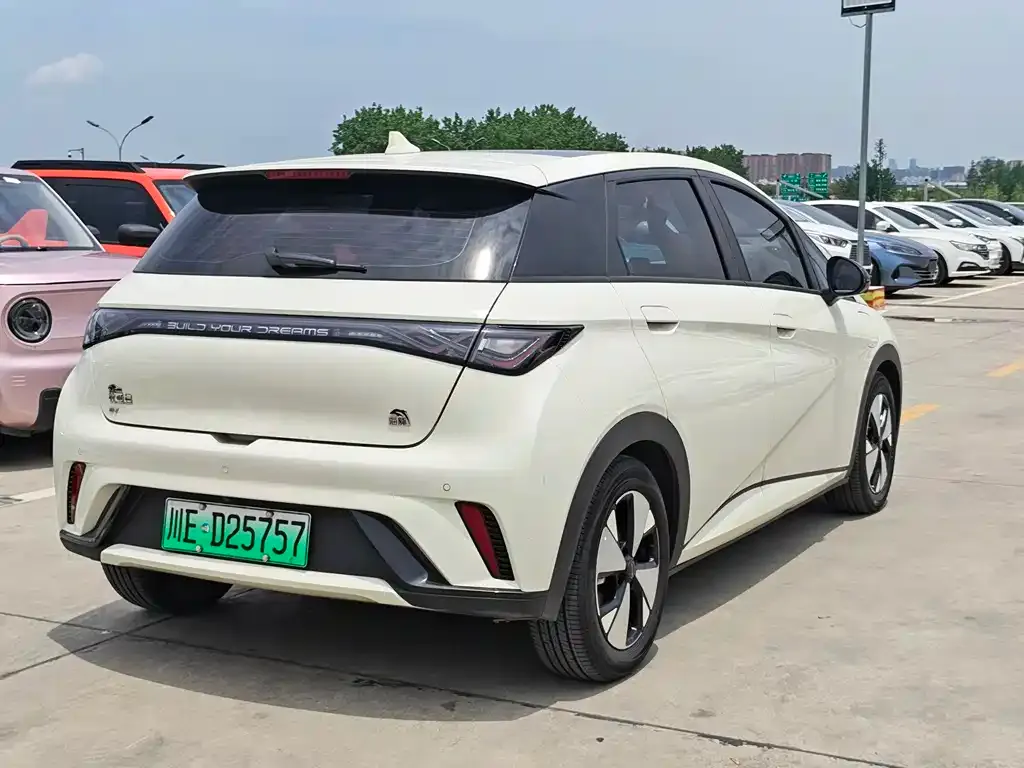BYD Dolphin 2023 из CN, фото 8