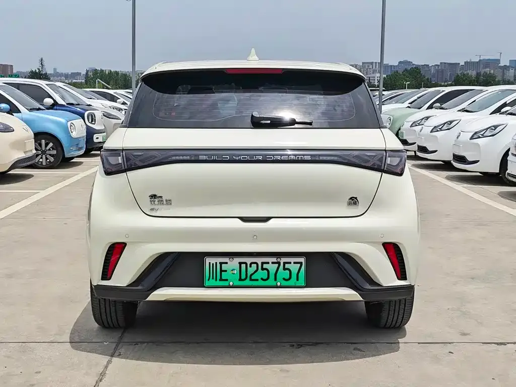 BYD Dolphin 2023 из CN, фото 9