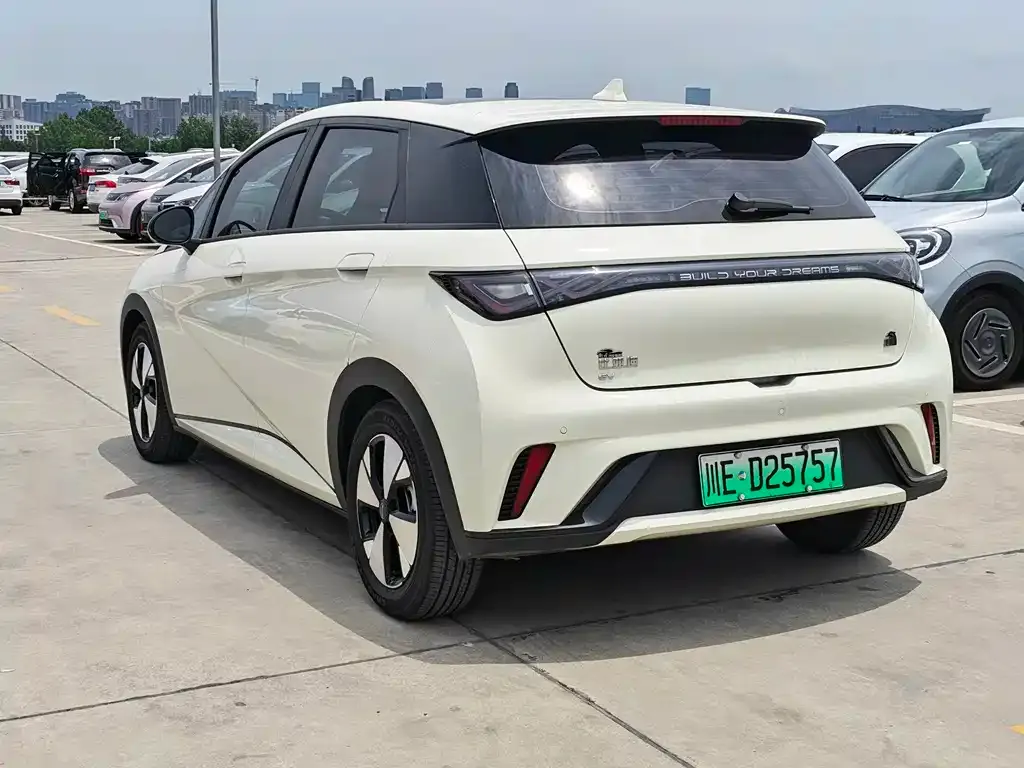 BYD Dolphin 2023 из CN, фото 3