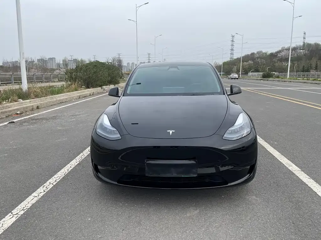 Tesla Model Y — фото 1