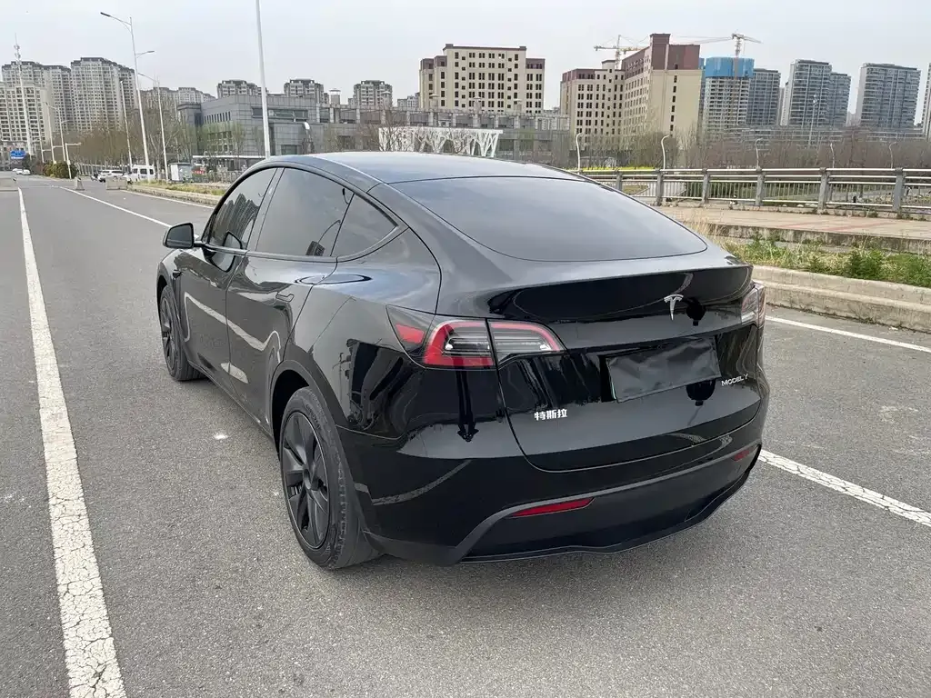 Tesla Model Y — фото 6