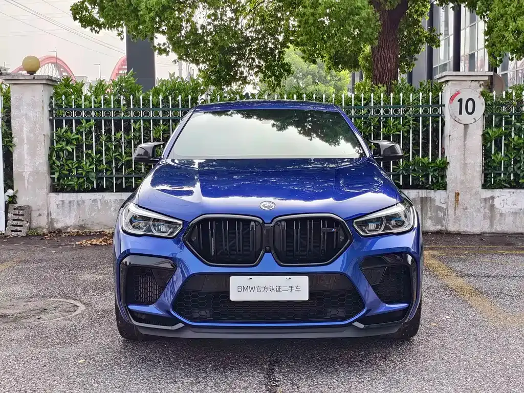 BMW X6 M 2023 из CN, фото 9