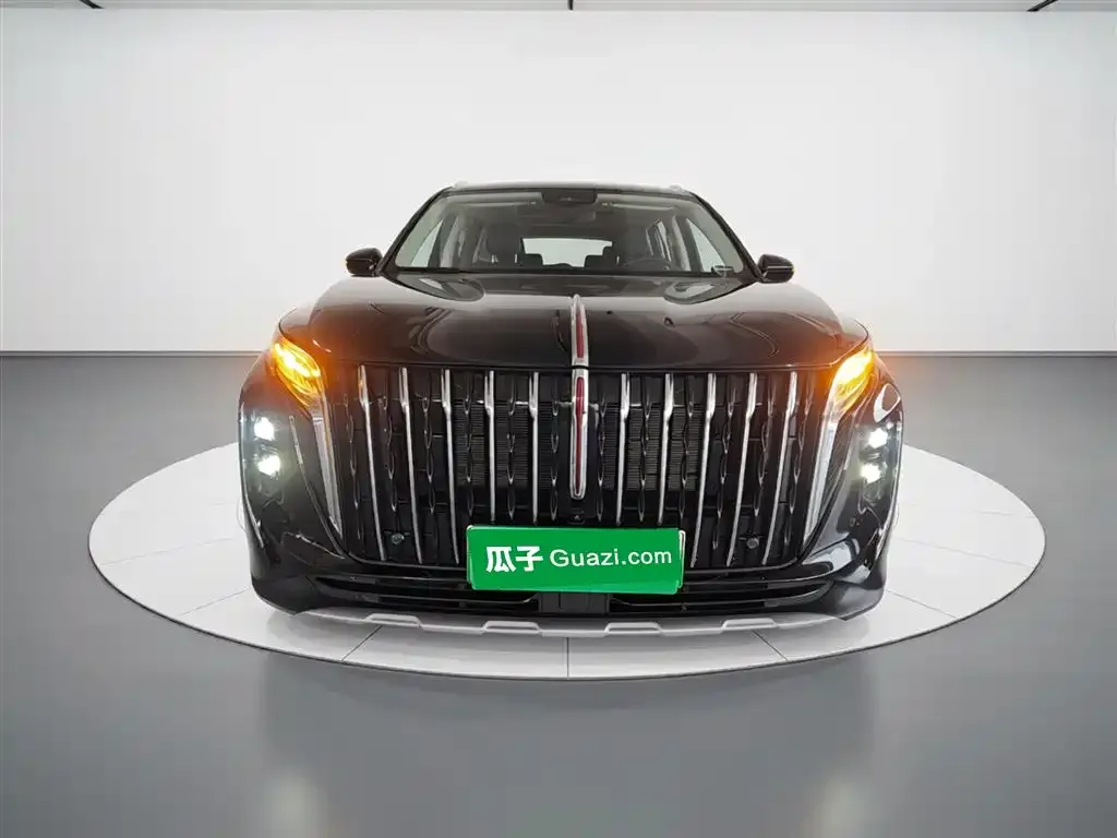 Hongqi HS7 PHEV 2025 из CN, фото 2