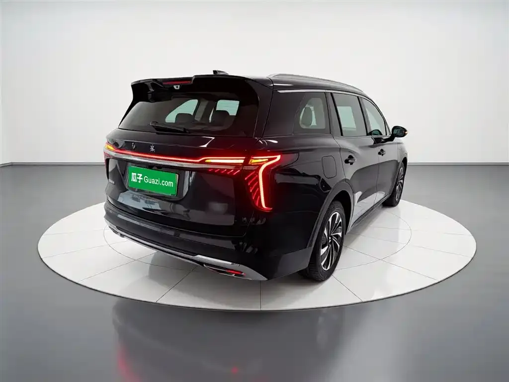 Hongqi HS7 PHEV 2025 из CN, фото 10