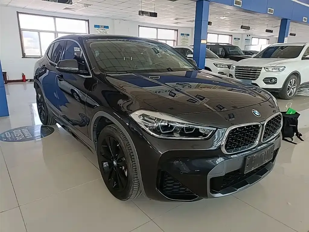BMW X2 2023 из CN, фото 8