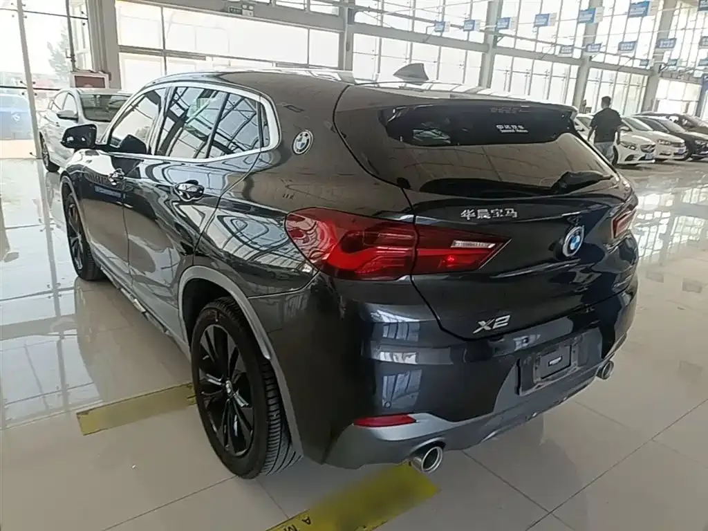 BMW X2 2023 из CN, фото 10