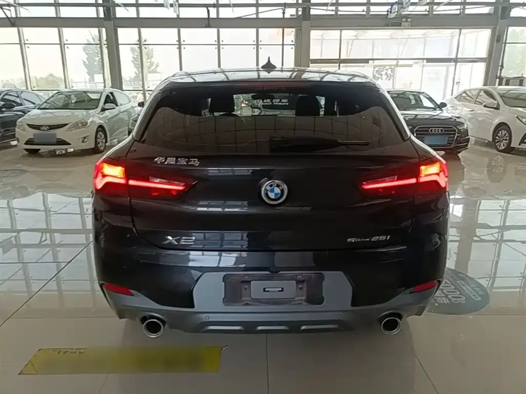 BMW X2 2023 из CN, фото 9