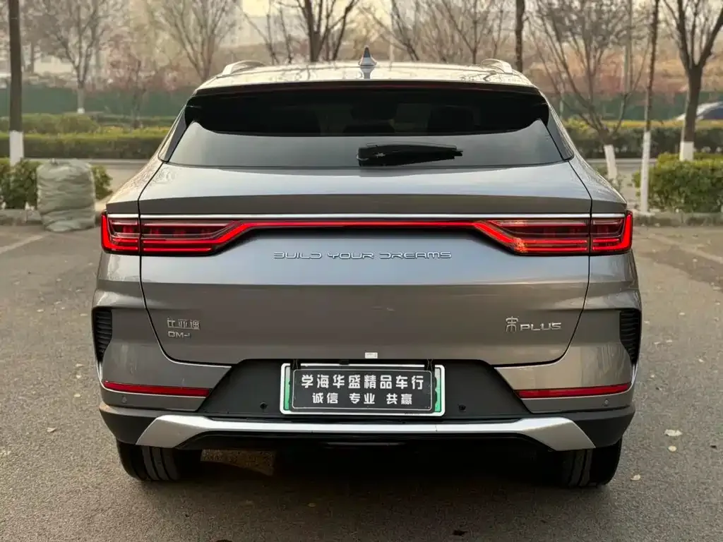 BYD PLUS New Energy — фото 6