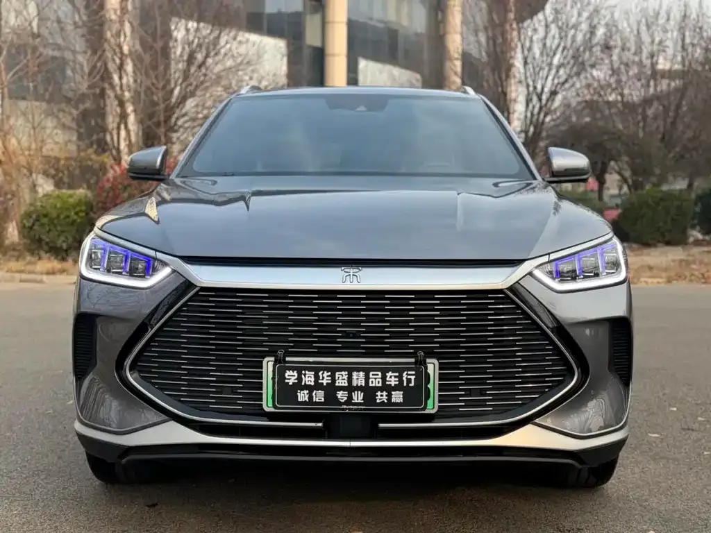 BYD PLUS New Energy — фото 9